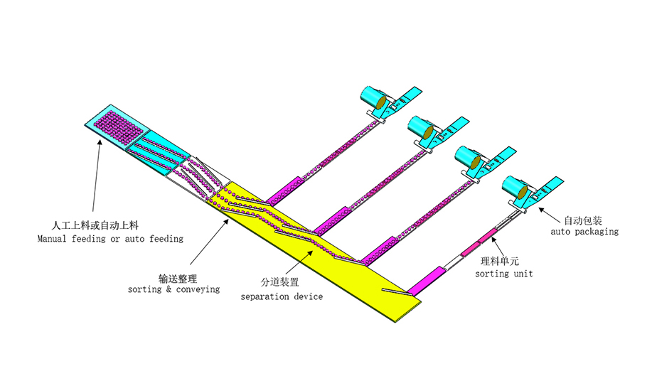 餅干食品包裝產(chǎn)線系統(tǒng)方案